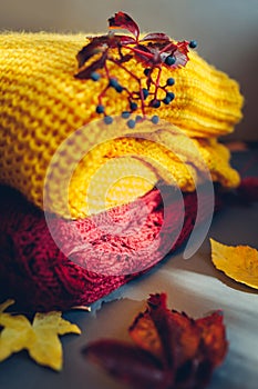 Autumn clothes. Yellow and burgundy sweater covered with leaves and berries. Flat lay, top view