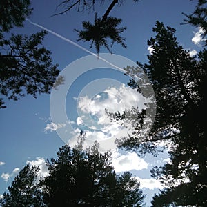 Autumn clouds on the background of trees