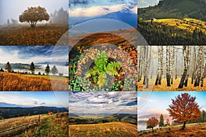 Autumn Collage