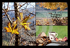 The autumn collage