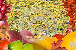 Autumn collage card with fruits and leaves