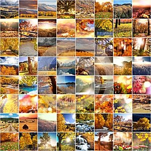 Autumn collage