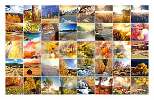 Autumn collage