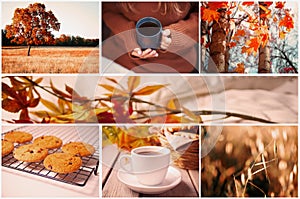Autumn collage of seven photos. Hot tea, autumn landscape, leaves, cookies. Fall. Warm and cozy