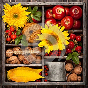 Autumn collage in vintage box.