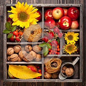 Autumn collage in wooden box.