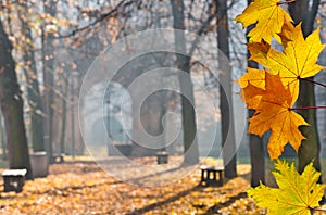 Autumn colonade with a gateway