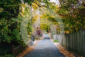 Autumn color along an alley in Easton, Maryland.