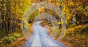 Autumn color along a dirt road in Frederick County, Maryland. photo