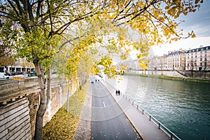 Autumn color along the Seine, in Paris, France.