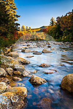 Autumn color along the Swift River, along the Kancamagus Highway