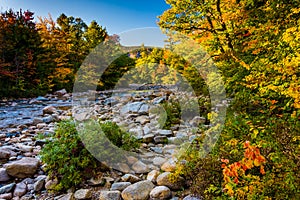 Autumn color along the Swift River, in White Mountain National F