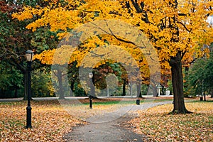 Autumn color along a walkway at Prospect Park, in Brooklyn, New York City