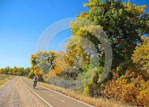 Autumn Color on the Bosque Bike Trail photo