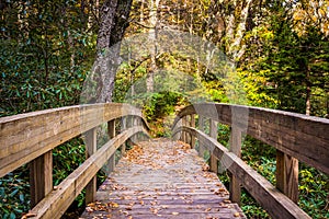 Autumn color and bridge on the Tanawha Trail, along the Blue Rid photo