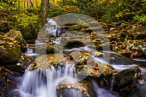 Autumn color and cascades on Stoney Fork, near the Blue Ridge Pa