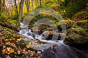 Autumn color and cascades on Stoney Fork, near the Blue Ridge Pa photo