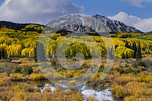 Autumn Color on East Beckwith Mountain, Kebler Pass - Colorado