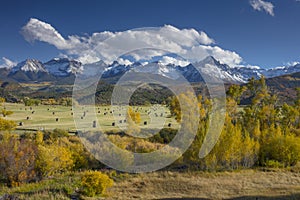 Autumn color of Fall view of hay bales and trees in fields with snow capped San Juan Mountains of Dallas Divide Ridgway Colorado