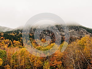 Autumn color and fog in Grafton Notch State Park, Newry, Maine