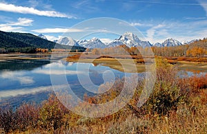 Autumn color in Grand Teton, Wyoming