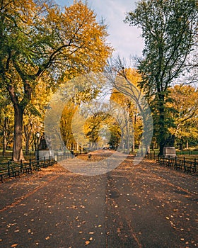 Autumn color at The Mall, in Central Park, Manhattan, New York City