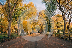 Autumn color at The Mall, in Central Park, Manhattan, New York City