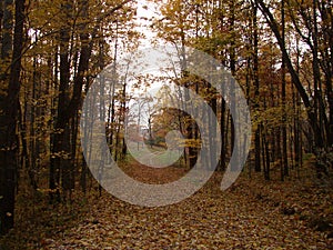 Colorful Autumn Scenes in Ohio