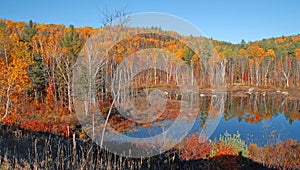 Autumn Color Reflection, Adirondacks, New York