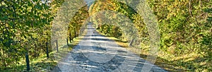 Podzimní barva silnice