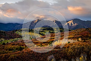 Autumn Color in San Juan  of Colorado near Ridgway and Telluride