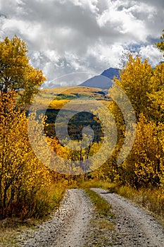 Autumn Color in San Juan and Rocky Mountains of Colorado