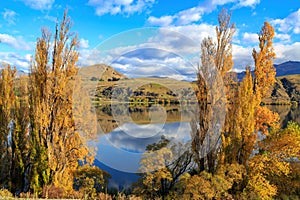 Autumn color surrounding a lake in New Zealand
