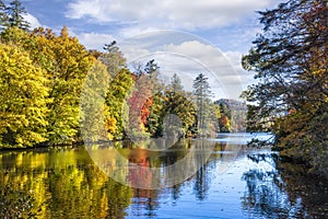 Autumn Color Trees on the Cullasaja River in North Carolina