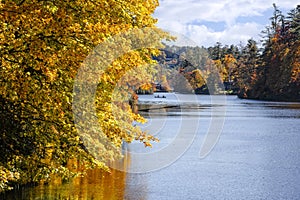 Autumn Color Trees on the Cullasaja River in North Carolina