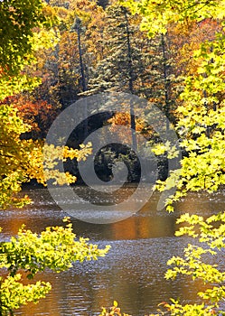 Autumn Color Trees on the Cullasaja River in North Carolina