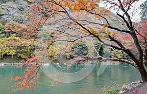 Autumn color view of Asashiyama mountain and Oigawa river in Kyoto, Japan