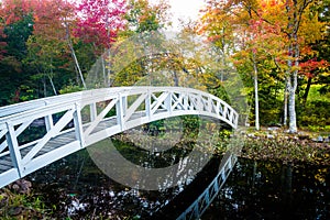 Autumn color and walking bridge over a pond in Somesville, Maine