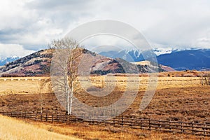 Autumn in Colorado