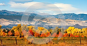 Autumn Colorado Front Range photo