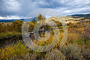 Autumn Coloras in the Yampa River Valley