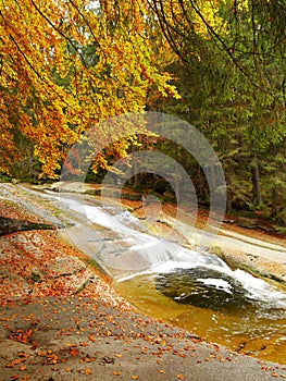 Autumn colored forest and rapids waterfalls long exposure time. Beautiful nature.