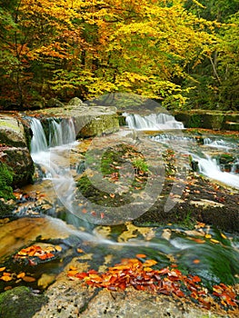 Autumn colored forest and rapids waterfalls long exposure time. Beautiful nature.