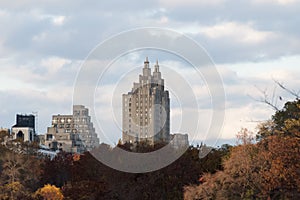 Autumn colored trees with buildings behind them