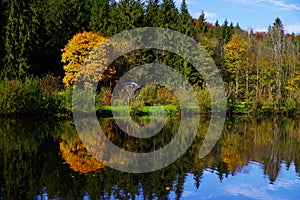 Autumn colored trees are reflected in the lake  2