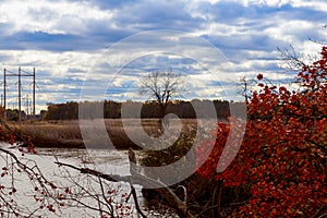 Autumn colored water view of sunset  picturesque nature with  river and yellowed  trees in the  .    landscape. Soft filter