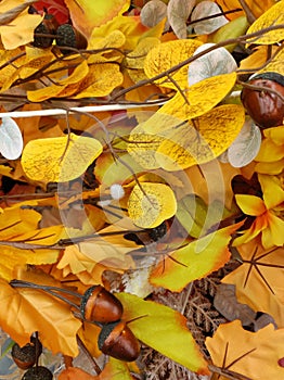 Autumn colorful background of leaves