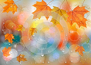 Autumn colorful background with leaves and raindrops