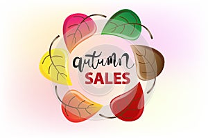 Autumn colorful fall leaf colorful season greetings card holidays celebrations logo design vector image