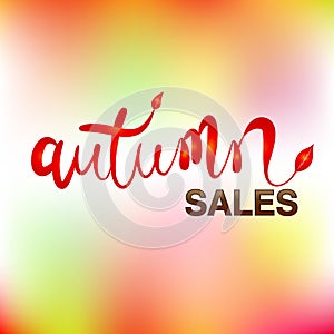 Autumn colorful fall leaves colorful season greetings card holidays celebrations banner template vector image